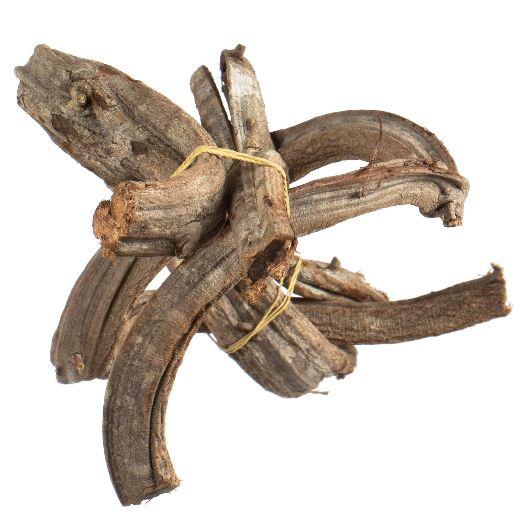 Vickerman 18-22" Natural Twisted Vine Bundle, 3 pack for wholesale on Faire1