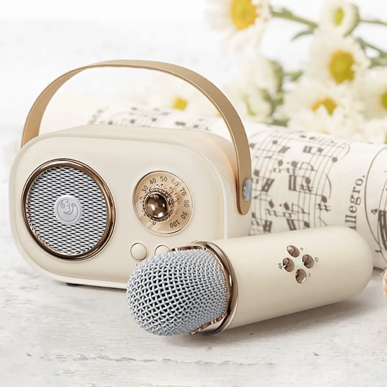 Funky Rico Inc - Wholesale Speakers - Karaoke Mini Set -Beige6