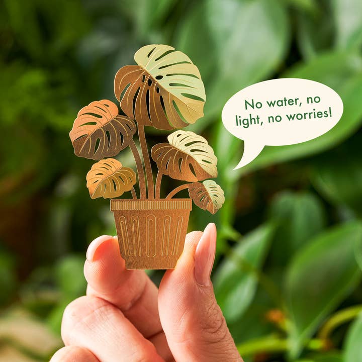 Tiny Plant Monstera, Cute Home Decor Gift for wholesale by Another Studio U.S