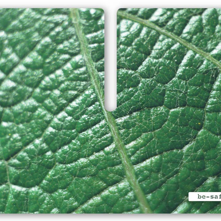 Kollektion #17 for engroshandel hos be-safe.es