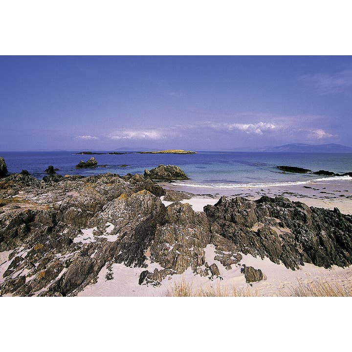 Medium Postcard North End for wholesale by Island Blue Publishing