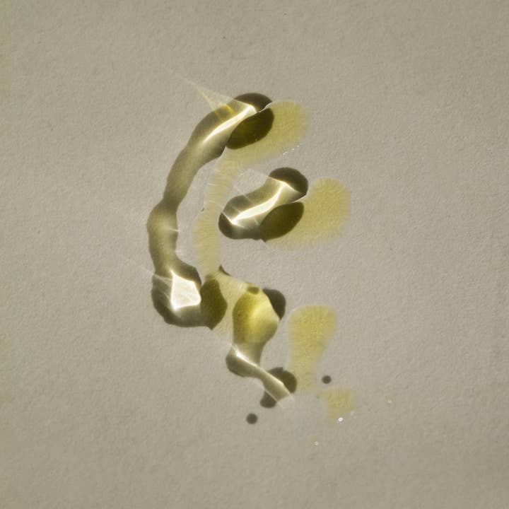 SUMMER SOLACE- Regenerative Tallow Beauty – wholesale Bar Soap – Pure Unscented Tallow Bar Soap – 4.9 oz1