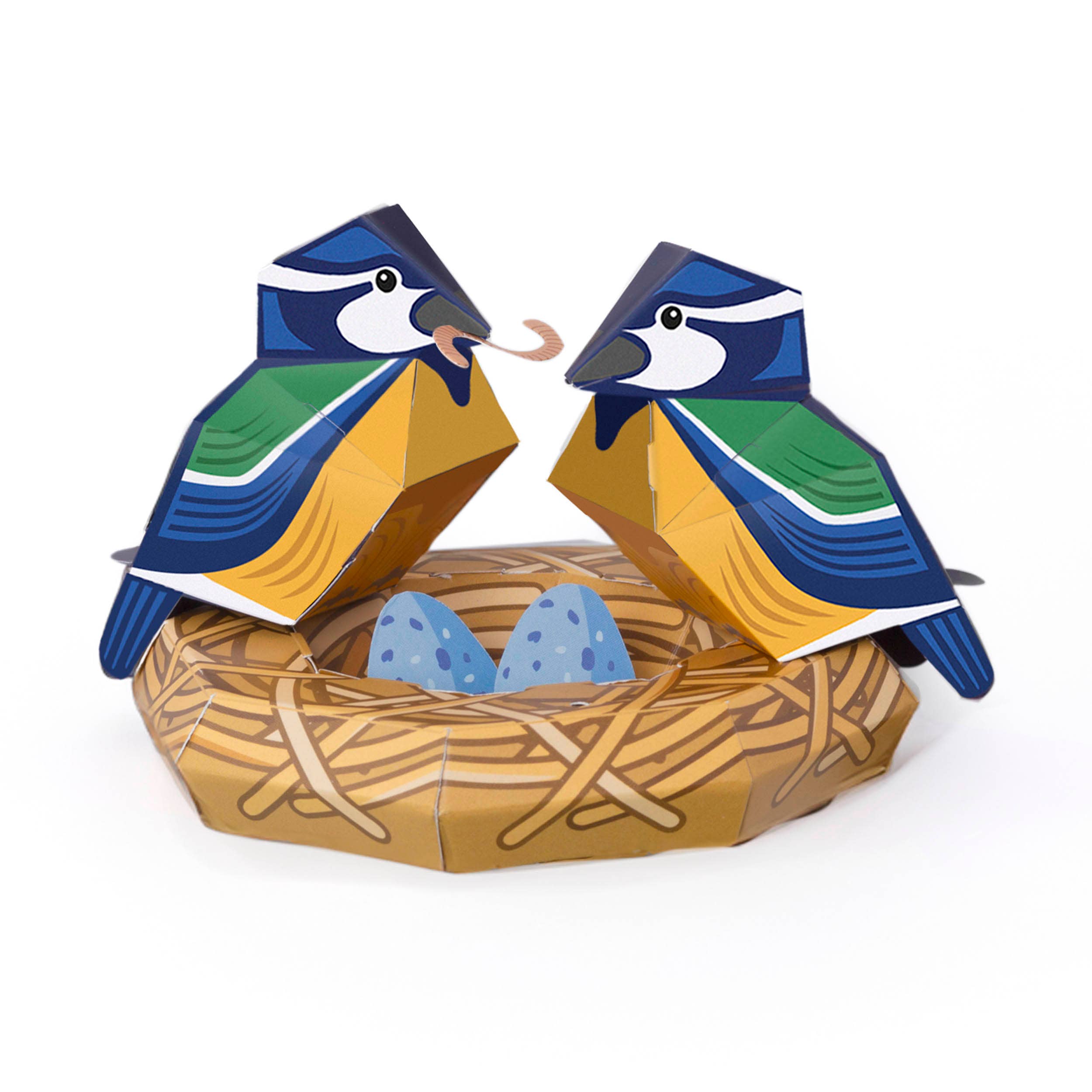 Clockwork Soldier - UK - Wholesale DIY Craft Kit - Kids - Create Your Own Beautiful Blue Tit Nest2