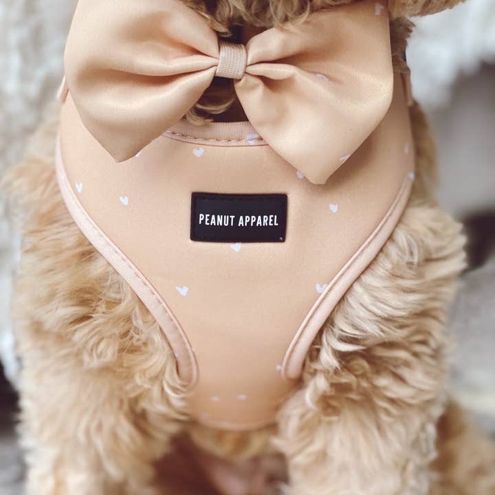 Gold Digger - Adjustable harness for wholesale by Peanut Apparel