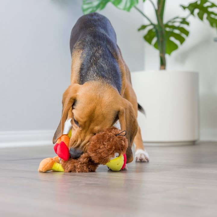Huxley & Kent – wholesale Pet plush toy – Dog – Slappies® Wishbone Turkey Dog Toy