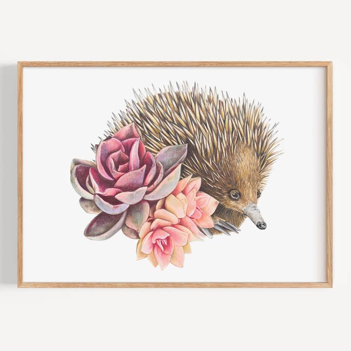 Kortnäbbad myrpiggsvin - Konsttryck för wholesale av Hayley Wilson