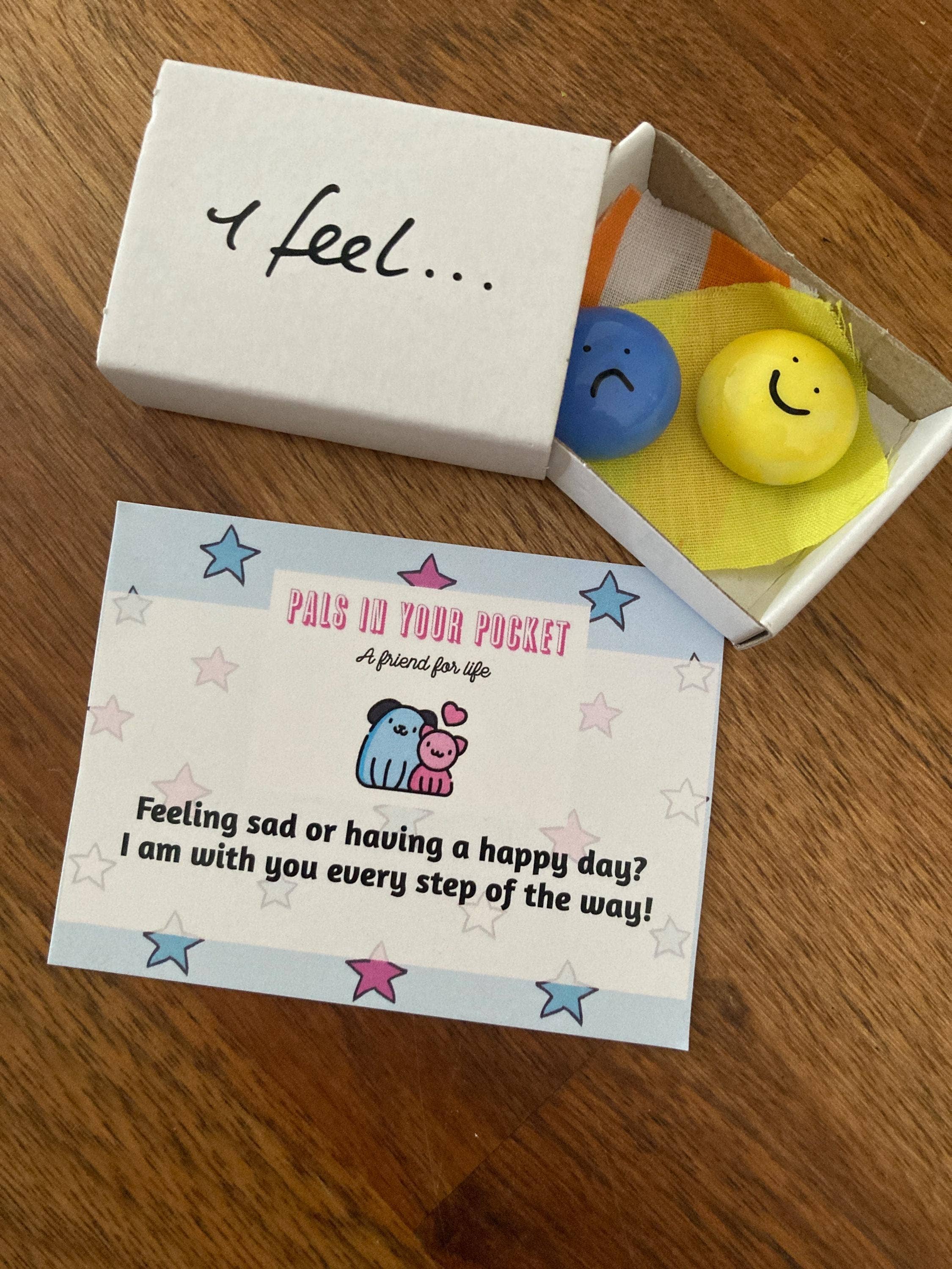 Pals in your Pocket - Wholesale Keepsake Coin/Token - Emotion Comfort Pebbles For Mindfulness And Anxiety0