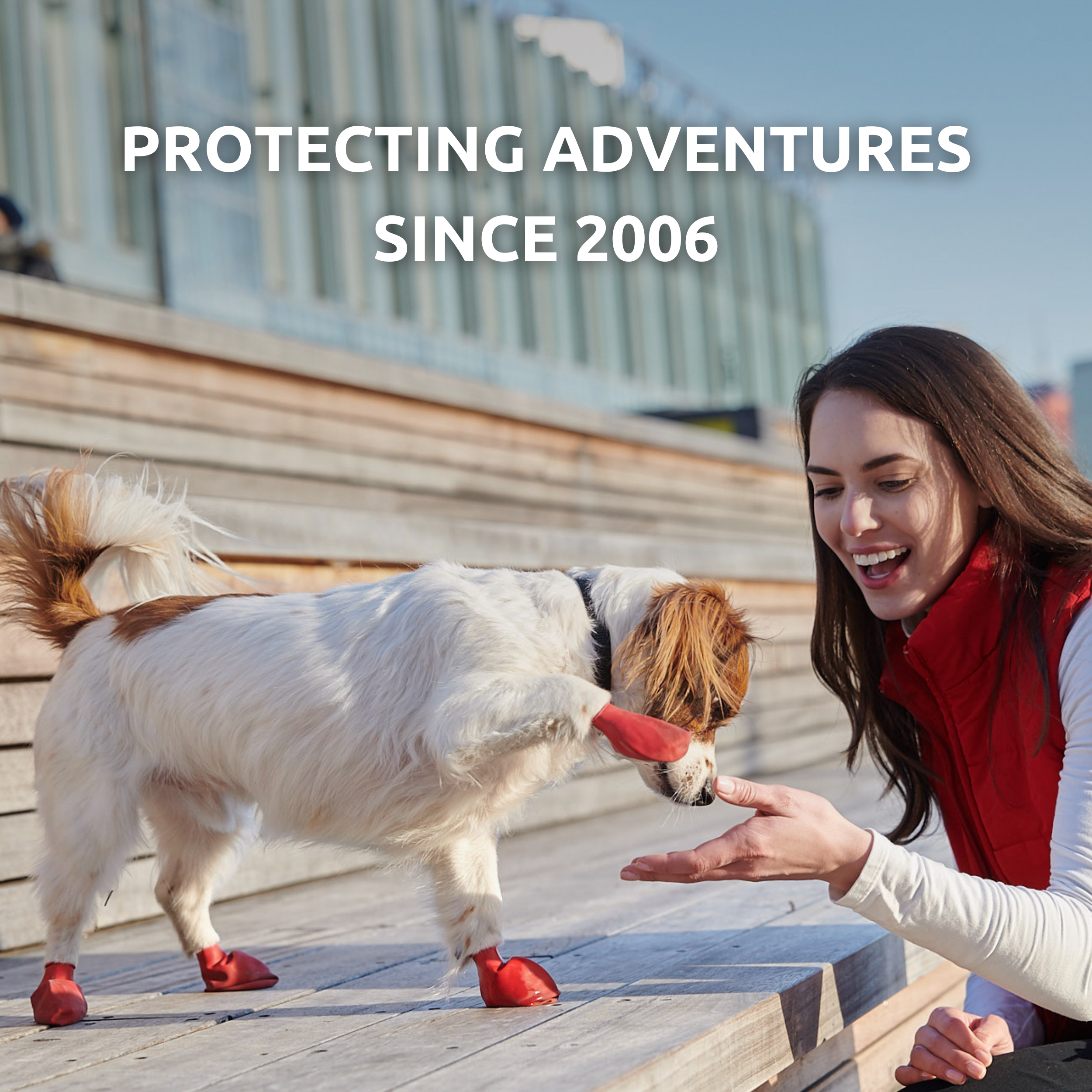 Downtown Pet Supply – wholesale Pet paw protection – PawZ Rubber Dog Boots, 12 Boots29