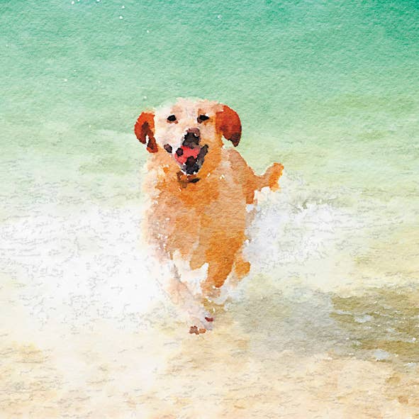 Minitarjeta Gracie 10 cm para venta al por mayor de Inky Blue Ltd t/a Holy Mackerel