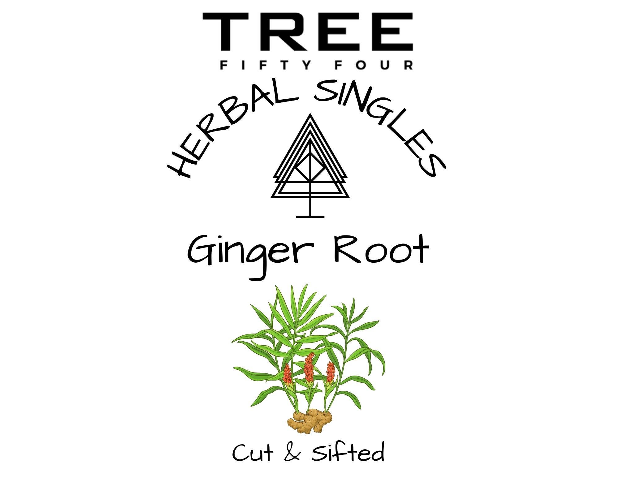 Tree Fifty Four - Wholesale Health/Detox Tea - Ginger Root 6-Pack Sachet Set | 3.5" x 4.75"5