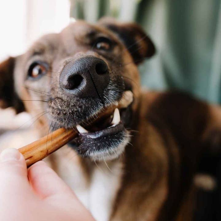 Truffe Délice - Vendita all'ingrosso Snack - Cani - Tendini di manzo1