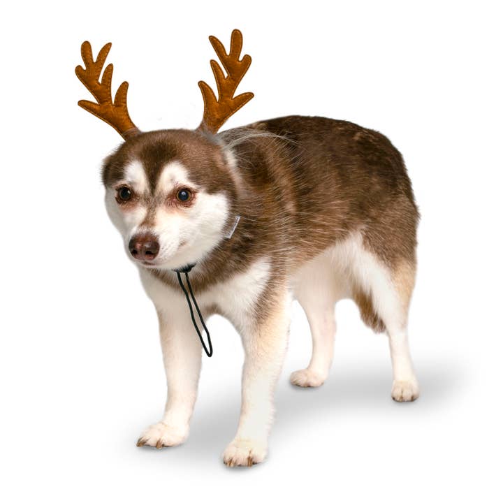 Midlee Designs - Wholesale Pet Costume - Dog - Midlee Furry Antlers Headband Halloween Dog Costume