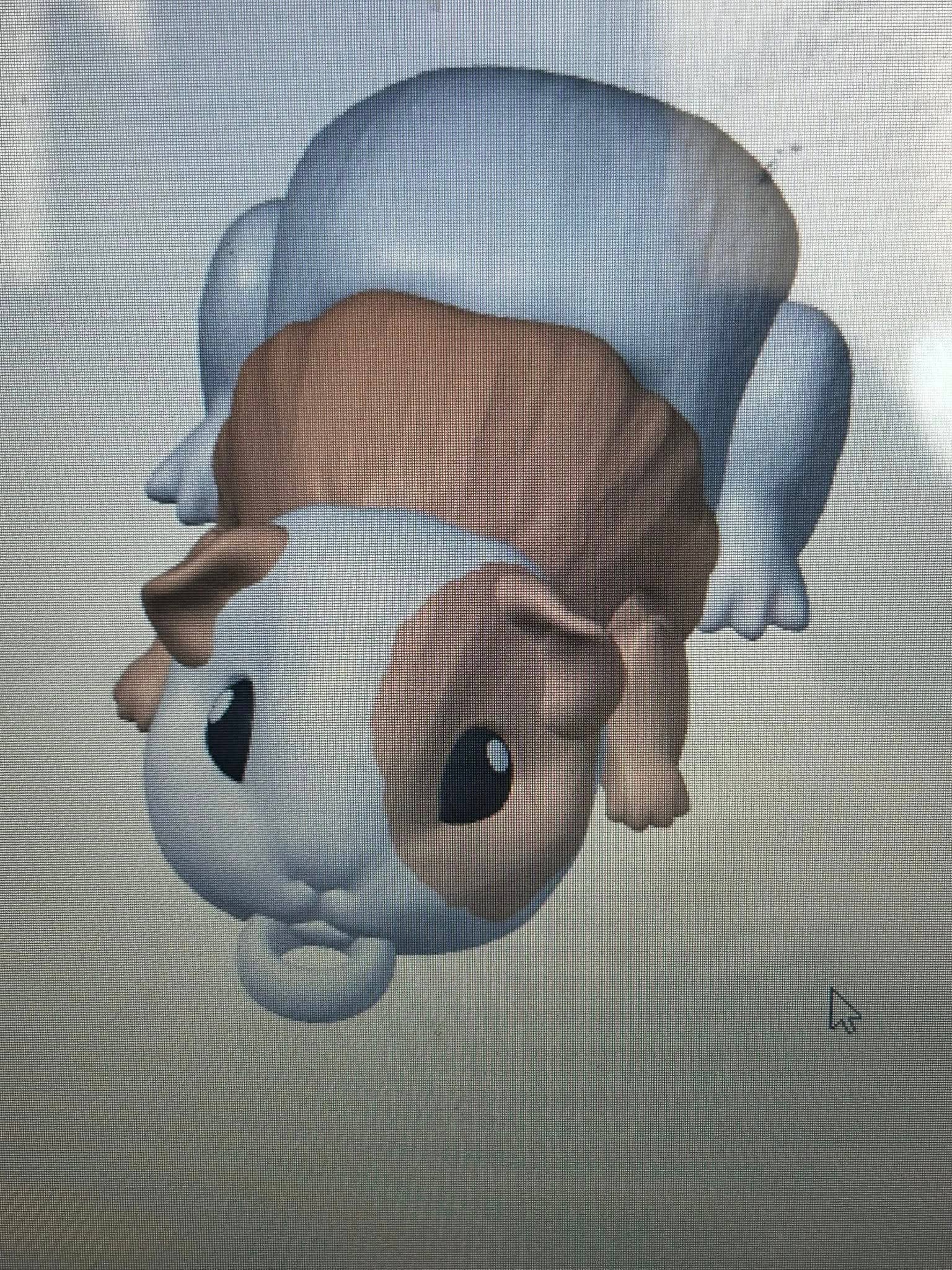 3D in Paradise - Vente Porte-clés – unisexe - Porte-clés cochon d'Inde suspension de sac pince homard3