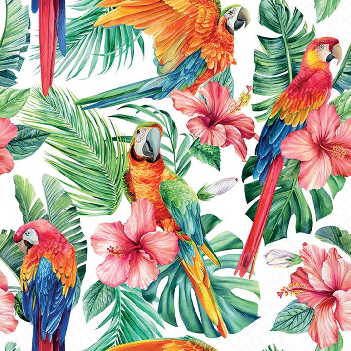 Servilletas de Papel para Almuerzo Set/20 Guacamayo Escarlata y Hibisco para venta al por mayor de Boston International