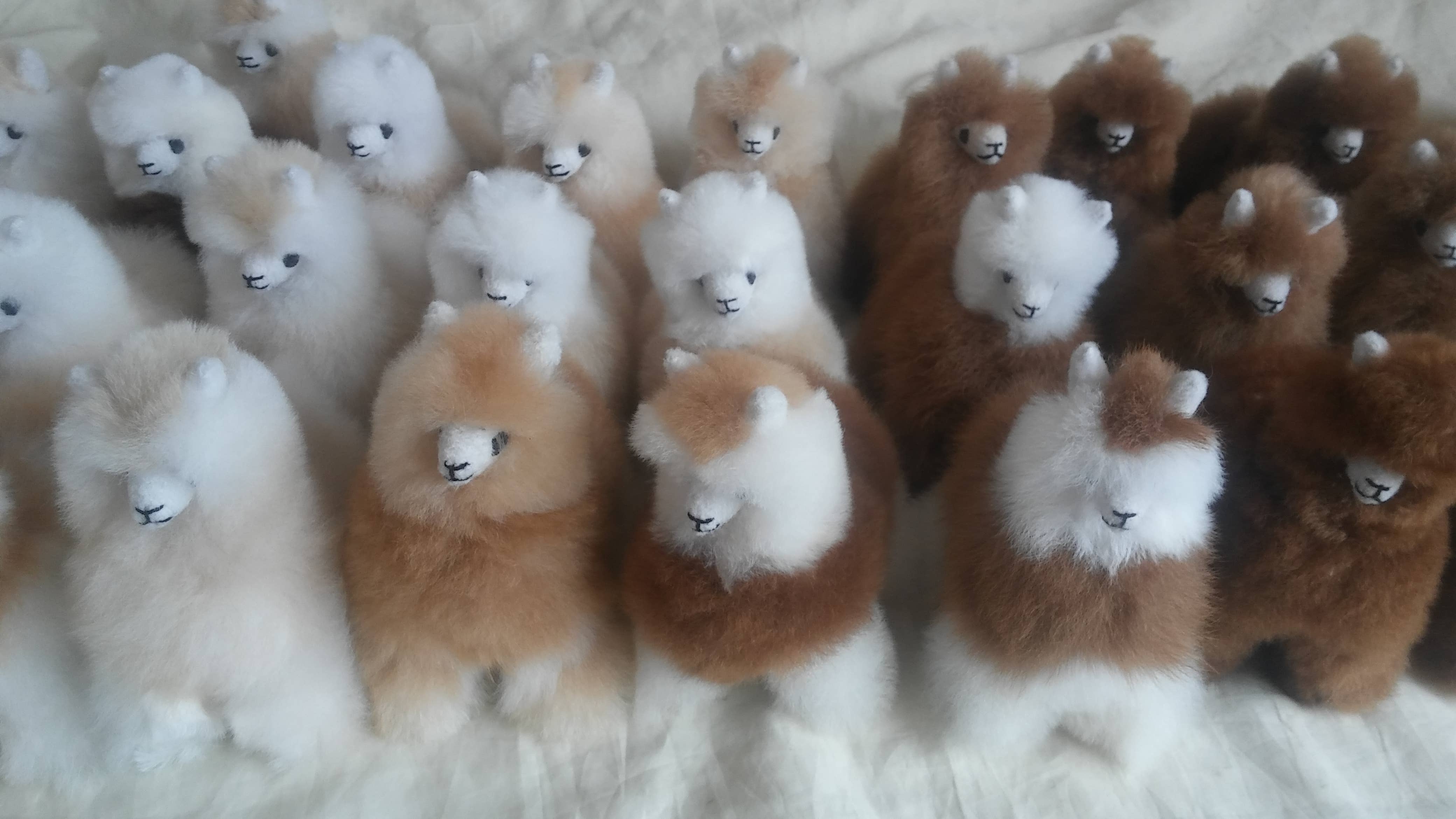 Blossom Inspirations – wholesale Fyllda/plyschleksaker - Barn och baby – Stående alpaca-leksak5