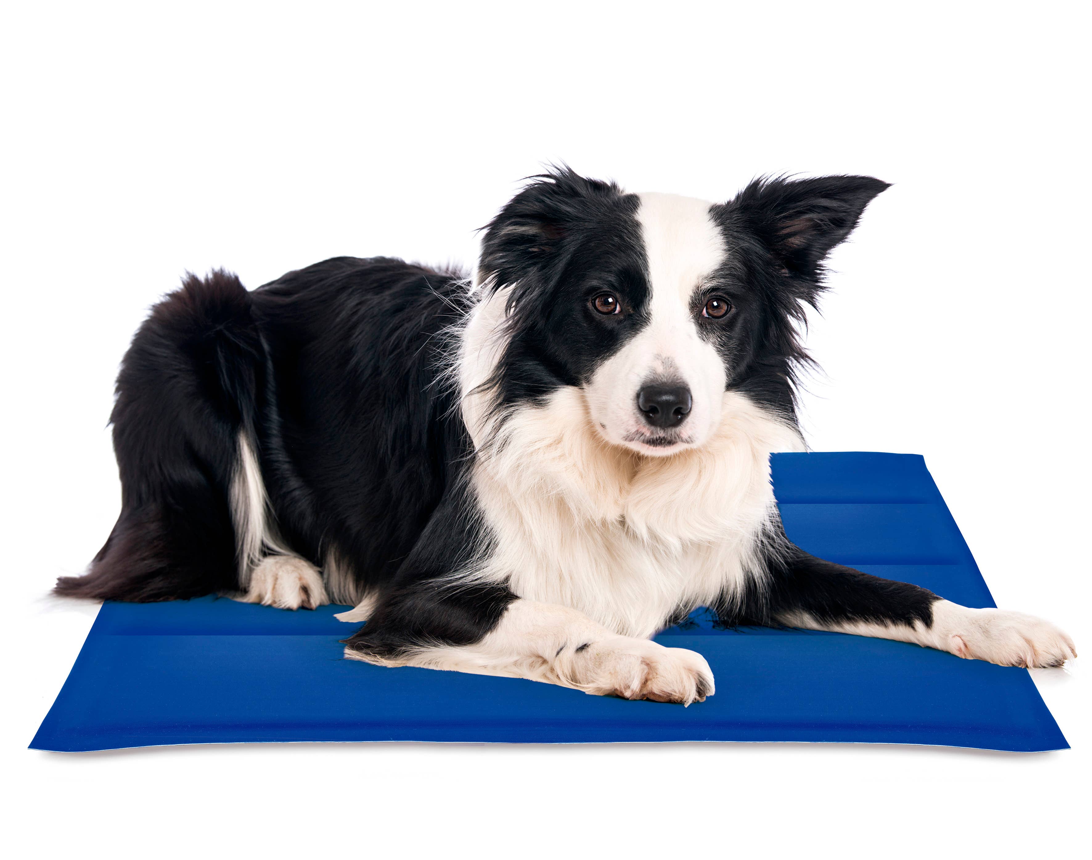 Blue Cool Mat Cool Mat Dog for wholesale on Faire0