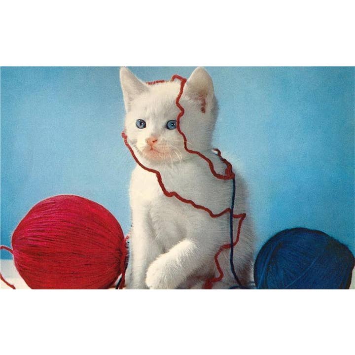 Postcard KC-263 Kitten with Balls of Yarn for wholesale by Found Image Press