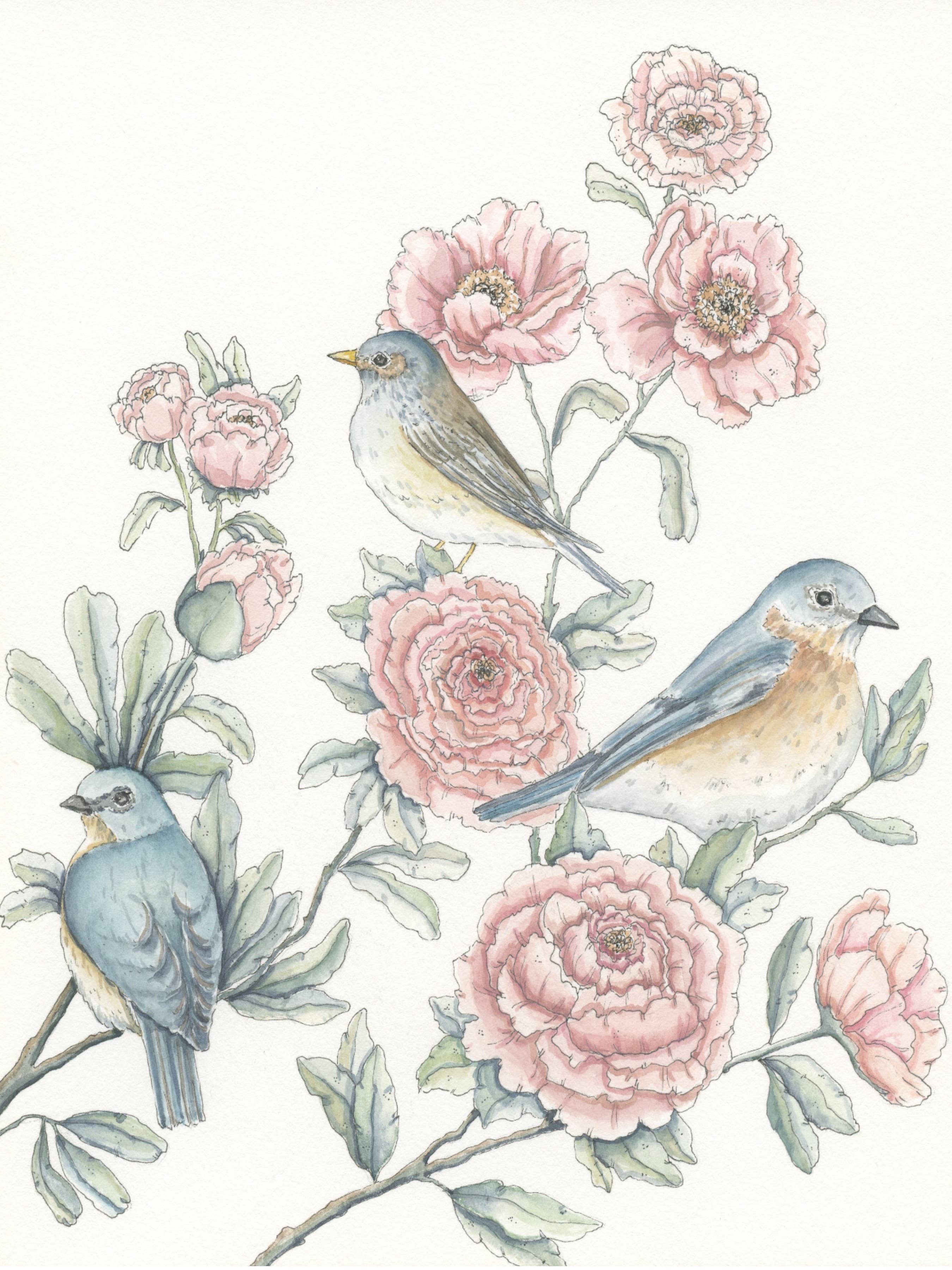 Lil & E - Wholesale Stationery/Notecard Set - Birds and Blooms Card Set of 51
