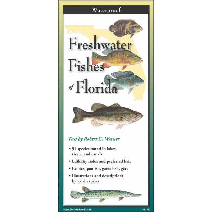 Florida Freshwater Fishes for wholesale by Earth Sky + Water