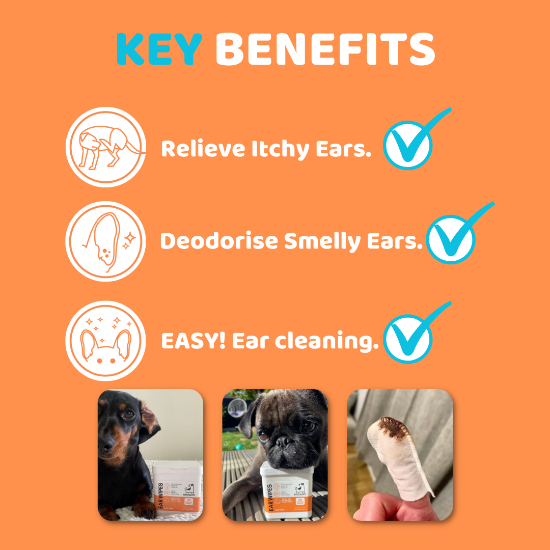 OurPetsLife – wholesale Pet grooming aid – Dog – Dog Ear Wipes2