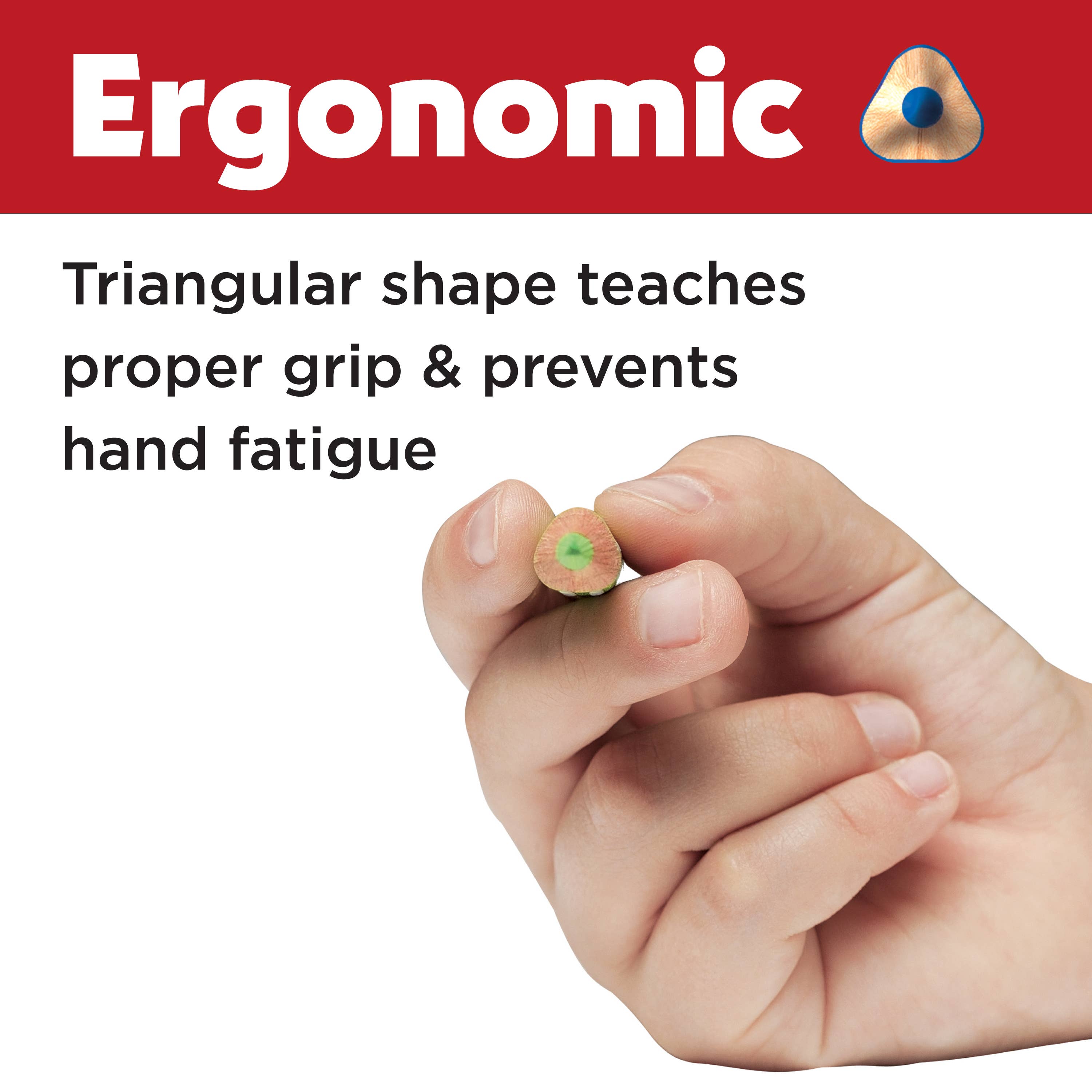 Faber-Castell / Creativity for Kids - Wholesale Colored Pencil - 12 Triangular Colored Pencils EcoPencils4