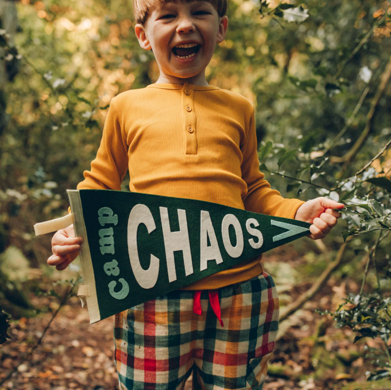 Pineandbear - Wholesale Flag - Camp Chaos Pennant Flag0