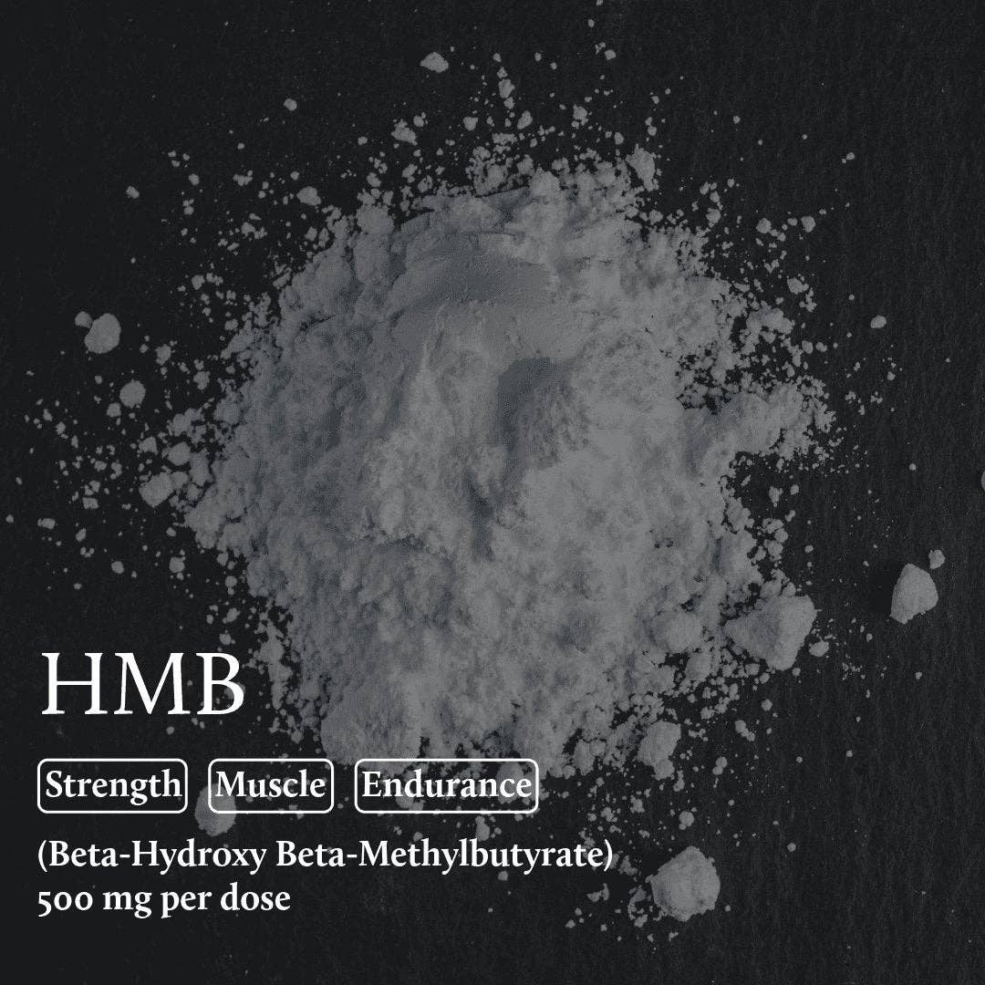 Nutrition Squared - Wholesale Oral Supplement/Vitamin - Creatine + HMB Active Elements5