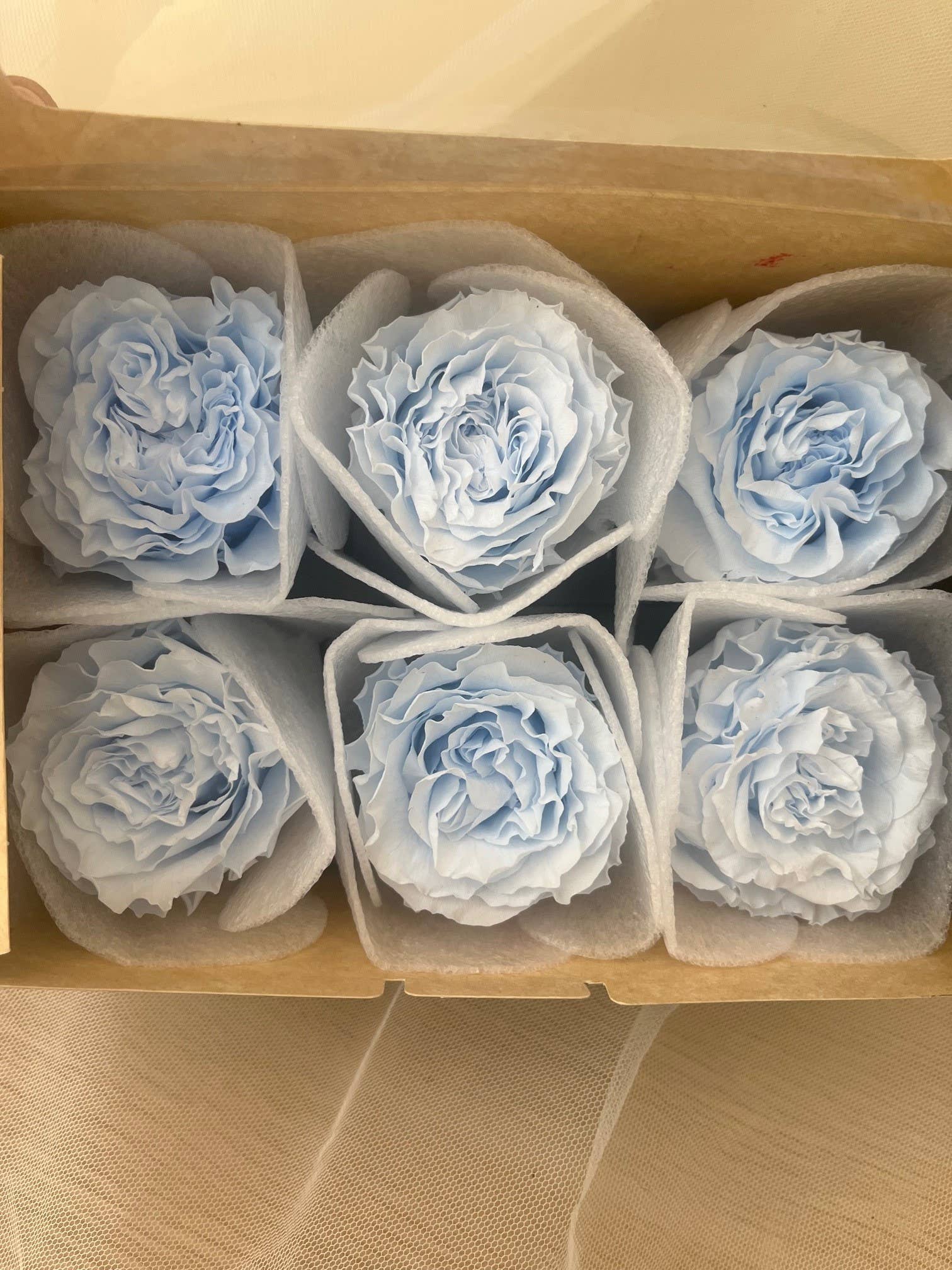 Concari.flores Preservadas - Wholesale Artificial Flowers - PRESERVED GARDEN ROSE3