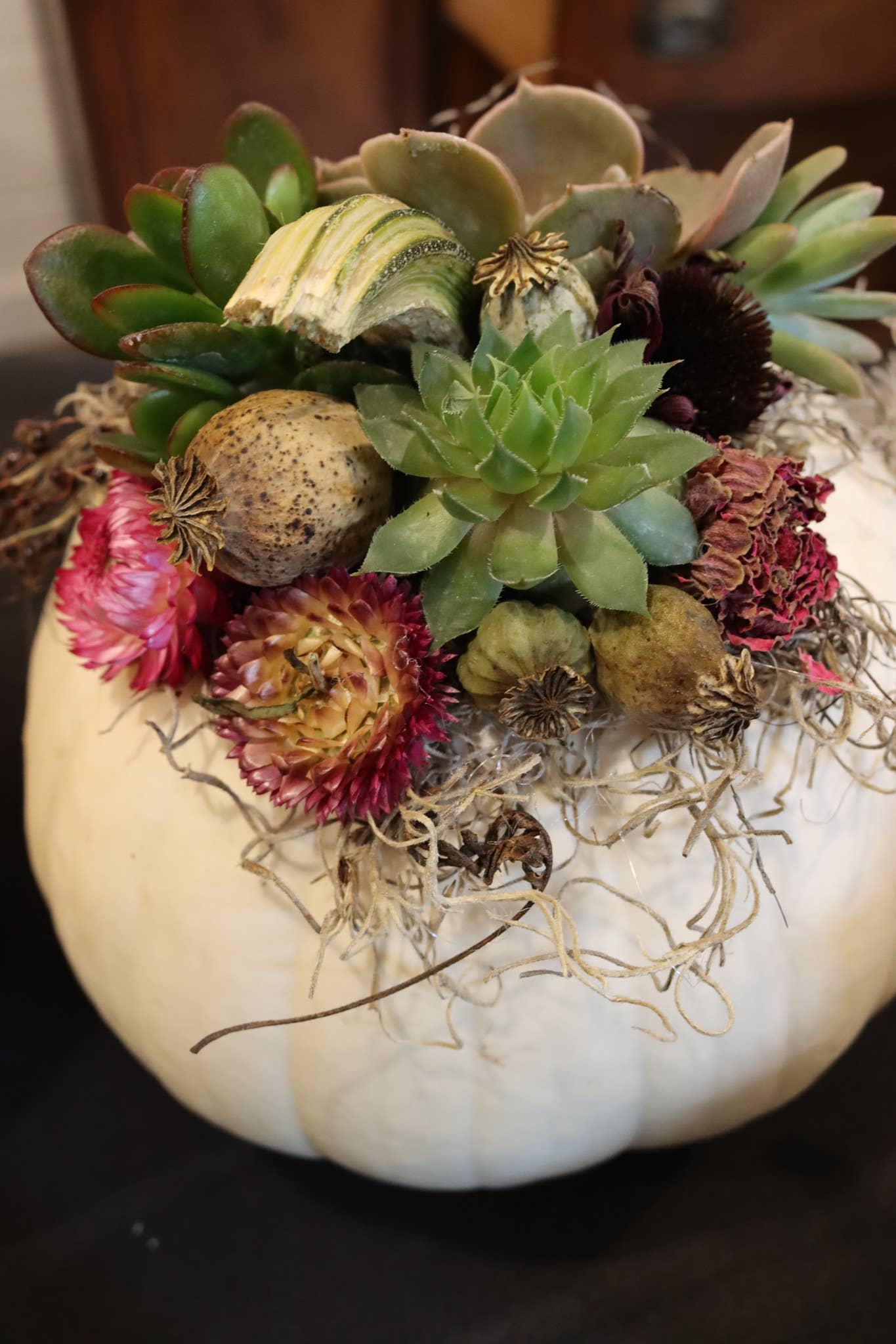 Alissas Flower Farm - Wholesale Dried/Pressed Flowers - Pods:  Poppy3