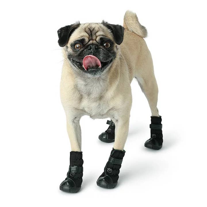 GF Pet - Wholesale Pet Boots - Dog - GF Pet Elasto-Fit® Dog Boots: Black