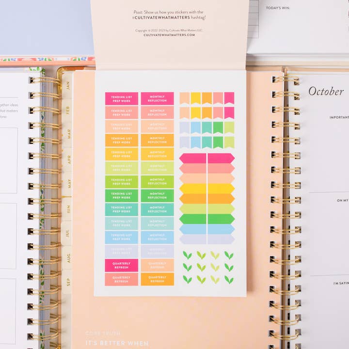 The Daily Grace Co - Wholesale Sticker - Goal Setting Sticker Book 1st Edition1
