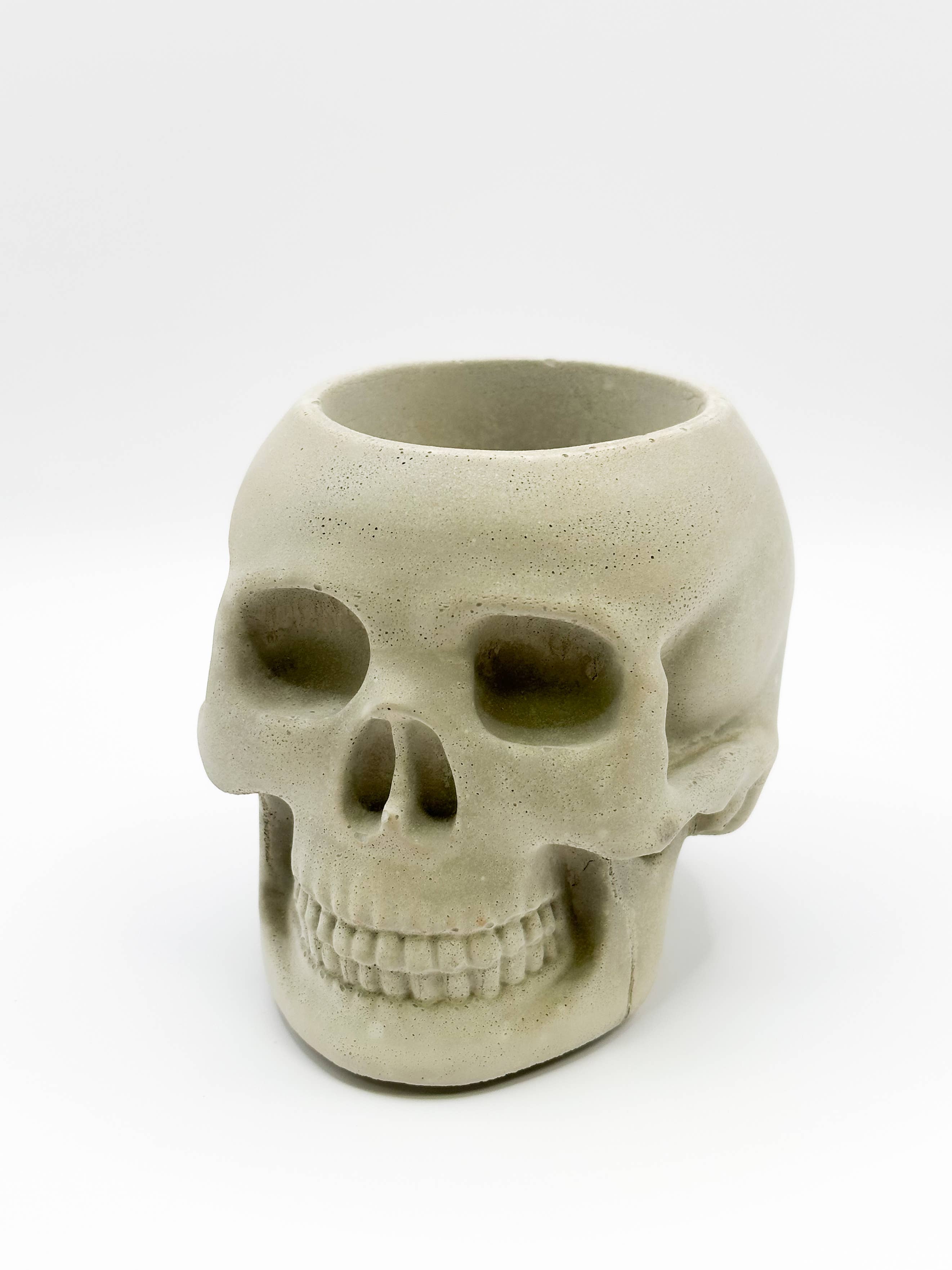 The Plant Supply - Wholesale Plant Pot - Skull Concrete Planter | Western Halloween Plant Decor