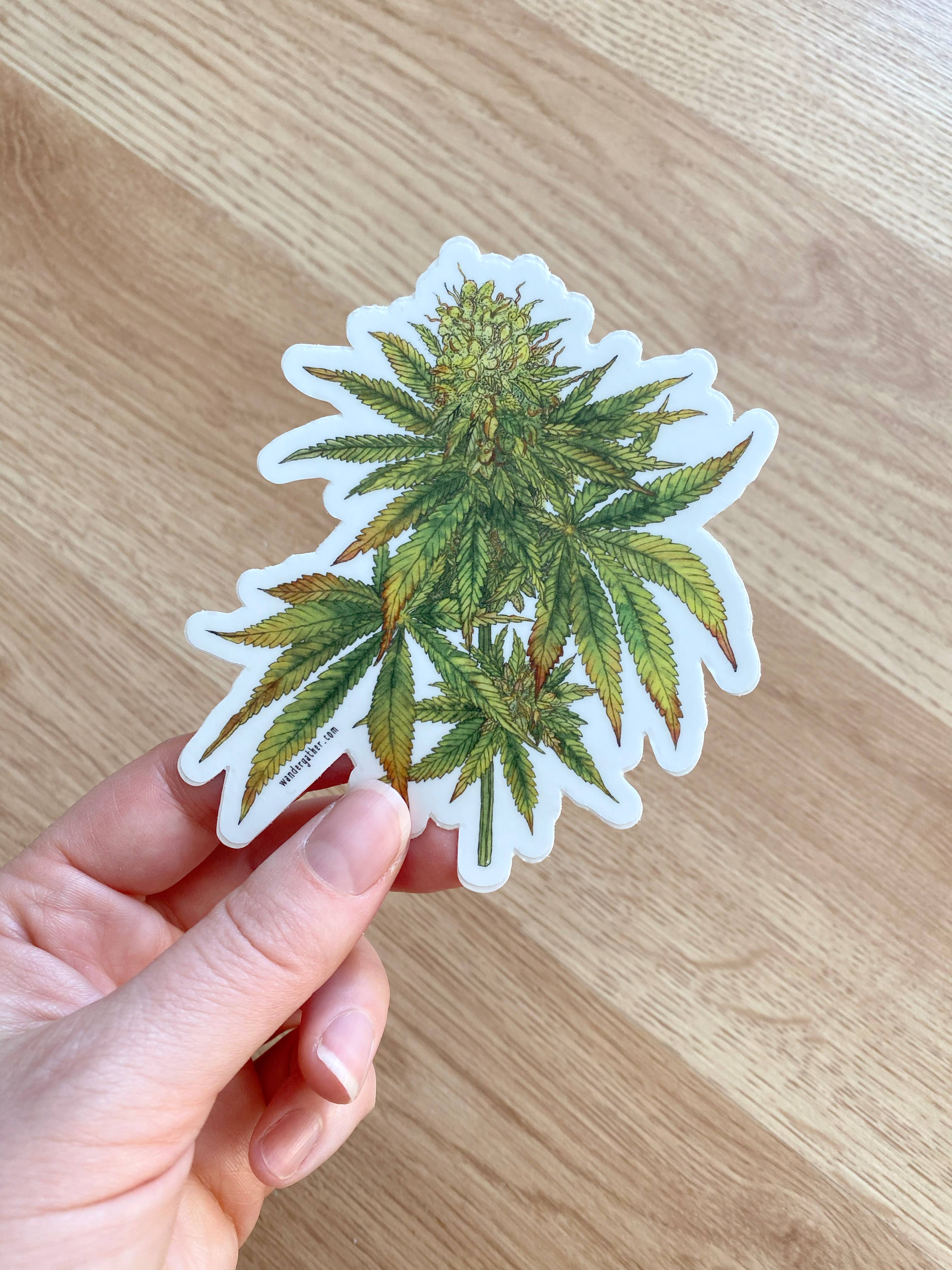 Wander & Gather - Wholesale Sticker - Cannabis Hemp Plant Waterproof Sticker1