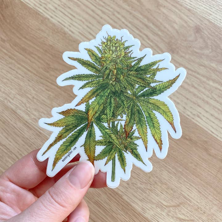 Wander & Gather - Wholesale Sticker - Cannabis Hemp Plant Waterproof Sticker1