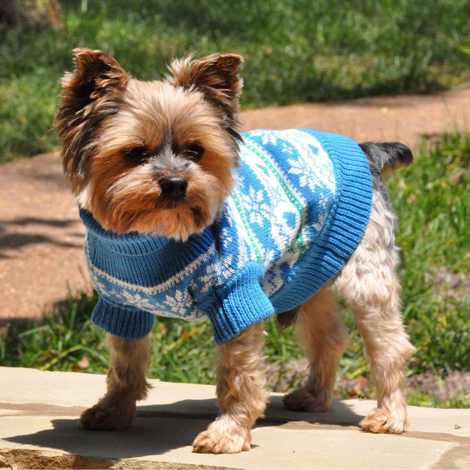 Doggie Design – Großhandel Haustier-Pullover – Hund – Hundepullover aus gekämmter Baumwolle mit Schneeflocken und Herzen, Blau1