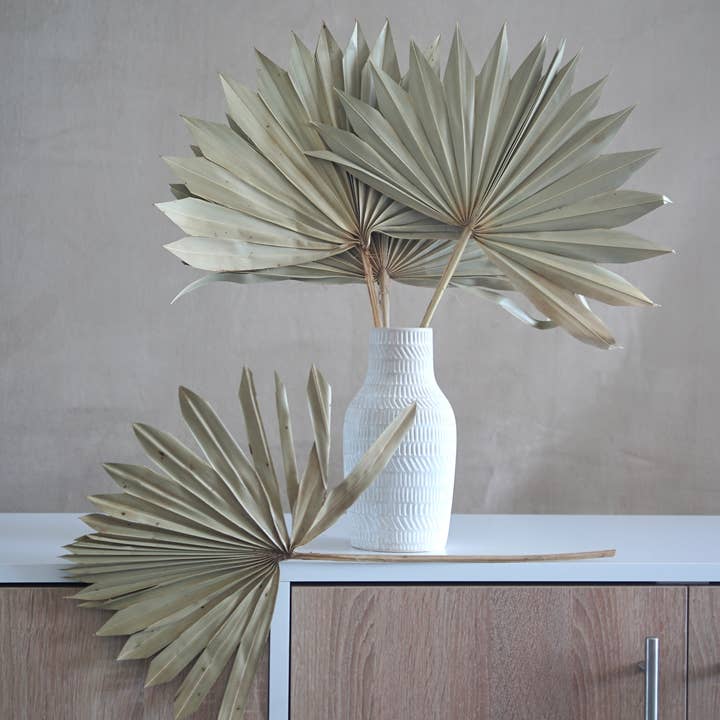 FlowerFantaSee - Wholesale Dried/Pressed Flowers - Palm Leaves 2