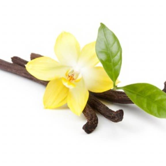 Vanilla Cashmere for wholesale by Calma CC