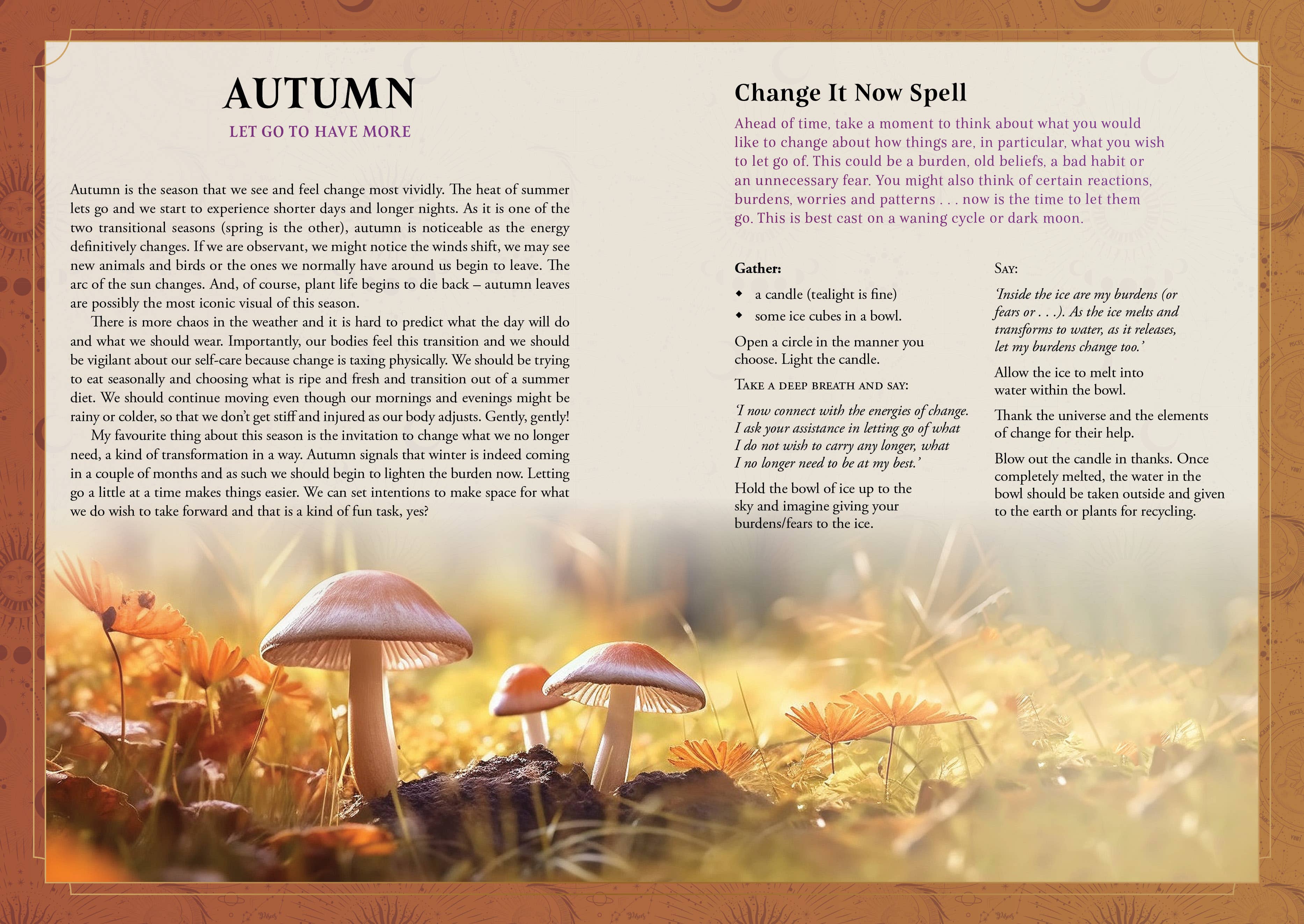 ROCKPOOL PUBLISHING - Wholesale Journal/diary - 2026 Lunar and Seasonal Diary: Southern Hemisphere6