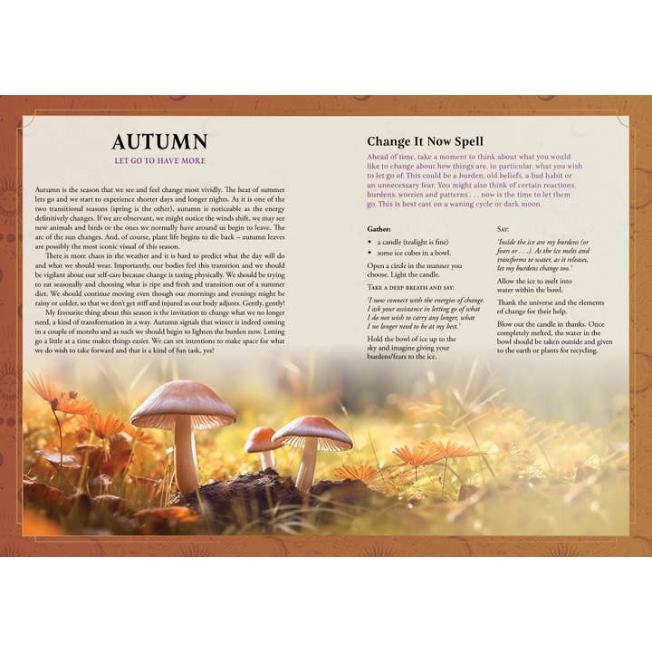 ROCKPOOL PUBLISHING - Wholesale Journal/diary - 2026 Lunar and Seasonal Diary: Southern Hemisphere6