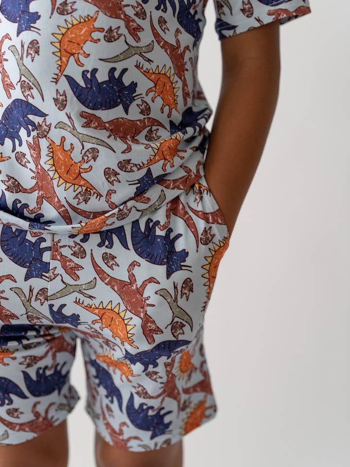 Conjunto Casual del Niño Dino Azul para venta al por mayor de House of Henry