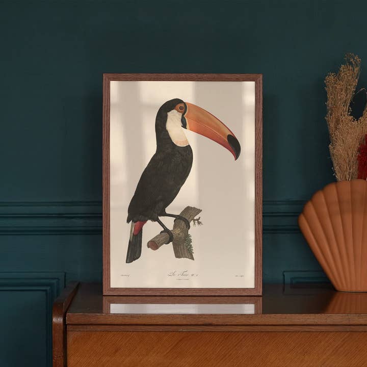 Aster Edition - Wholesale Poster - Poster: Le Toco2