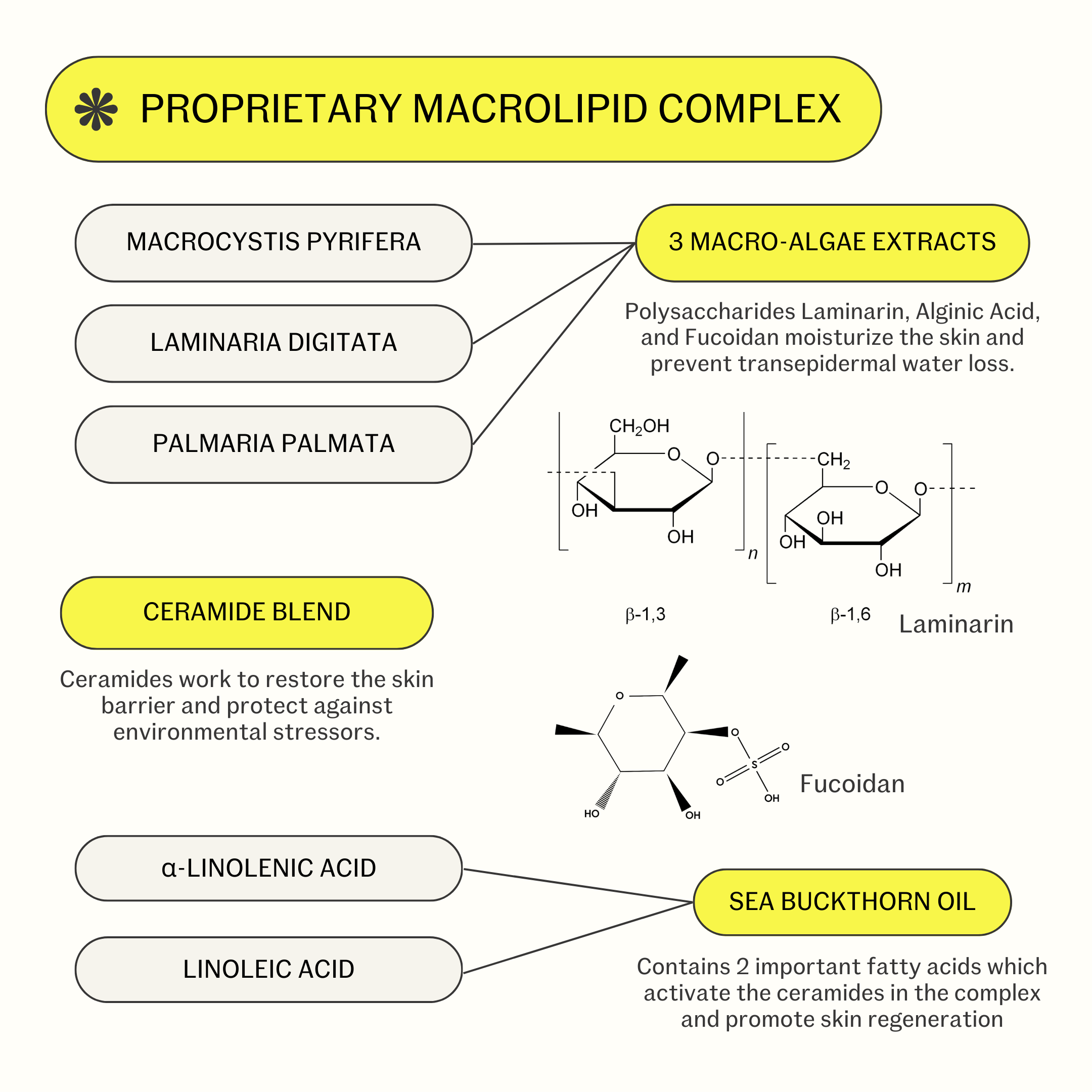 Neptune Ave. - Wholesale Sunscreen - Barrier Repair Sunscreen SPF 509