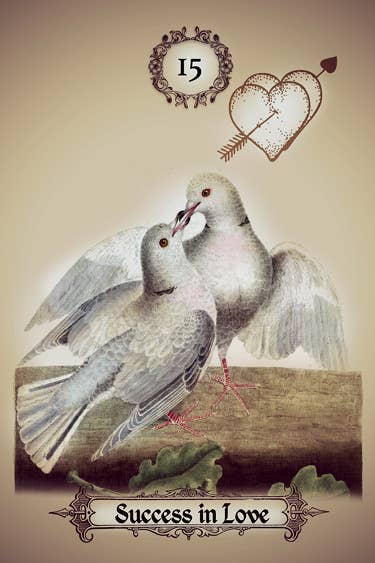 Schiffer Publishing - Wholesale Philosophy - The Art of Kipper Reading: Decoding Powerful Messages8