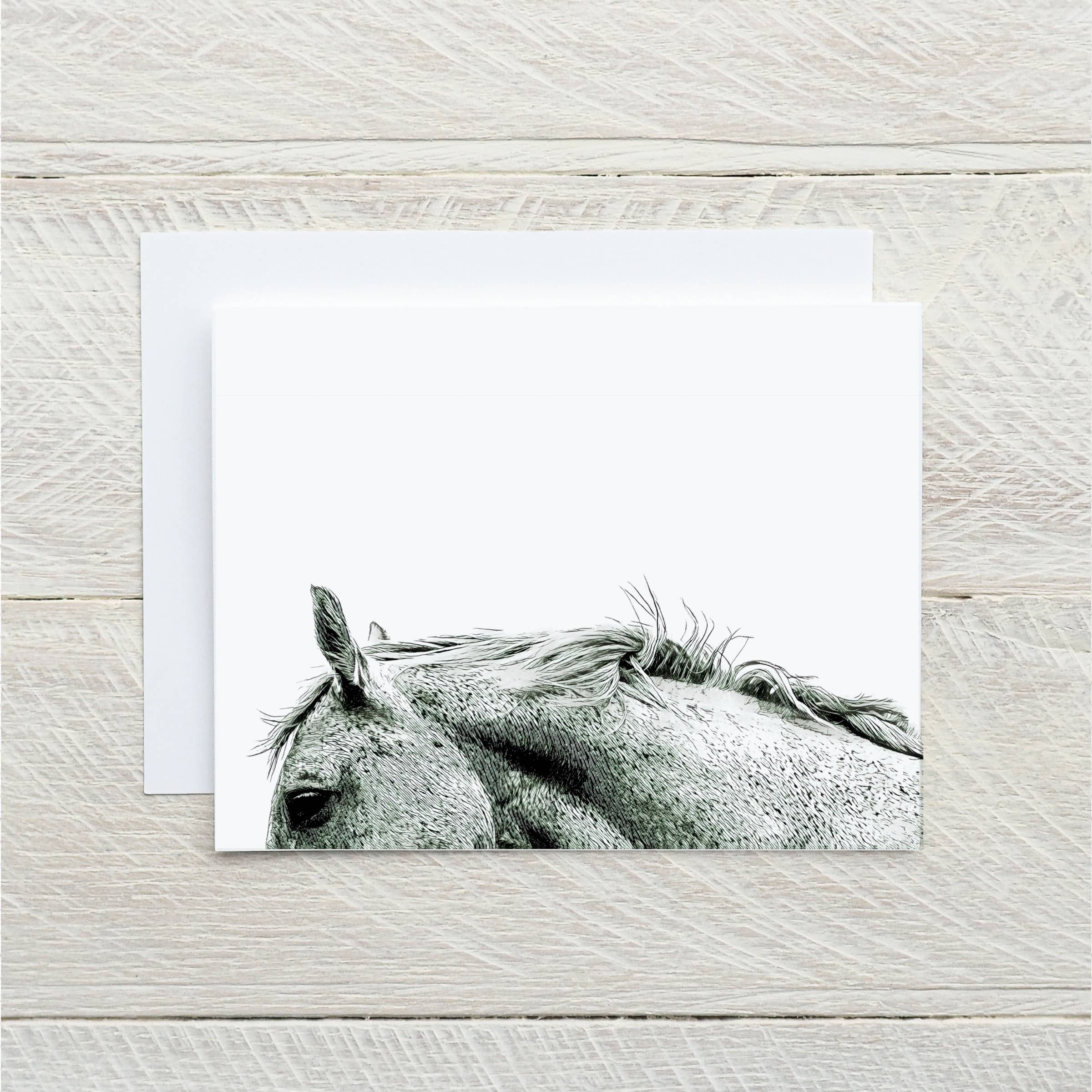 Laughing Mule Press - Wholesale Stationery/Notecard Set - Horse Mix Notecards (Package of 6)1