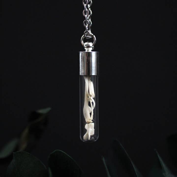 Kitty Bomb Curios - Wholesale Pendant/Charm Necklace - Bone Vial Necklaces | Oddities jewelry mini glass jar teeth