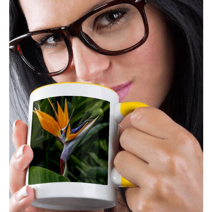 3dRose - Wholesale Coffee Mug - 3dRose, Bird of Paradise., Mug1