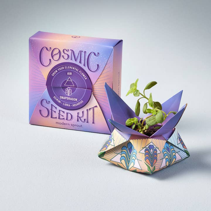 Modern Sprout - Wholesale Plant Seeds - Cosmic Seed Kit