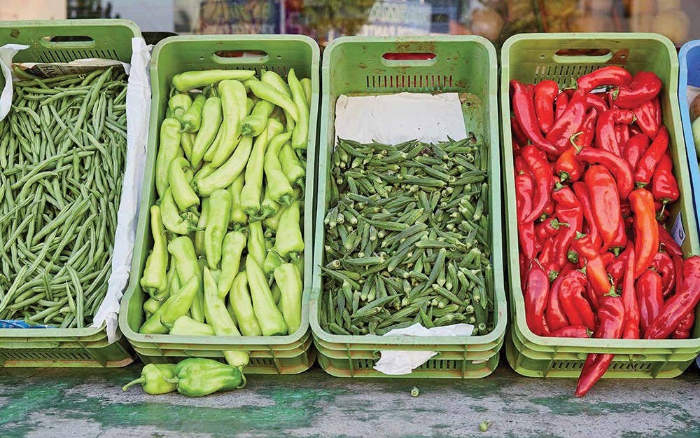 Independent Publishers Group - Wholesale Cookbooks & Food - Cyprus Cuisine8