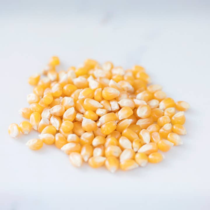 Amish Country Popcorn - Wholesale Popcorn - 14oz Bottle of Medium Yellow Popcorn3