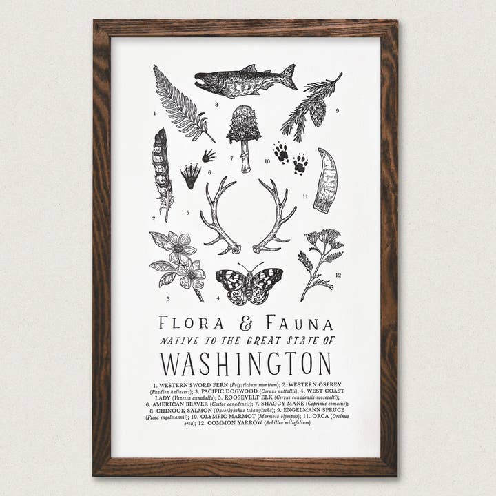 The Wild Wander - Wholesale Art Print - Washington Field Guide0